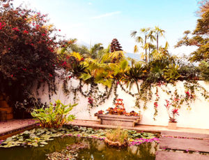 GREENS & LANDSCAPING